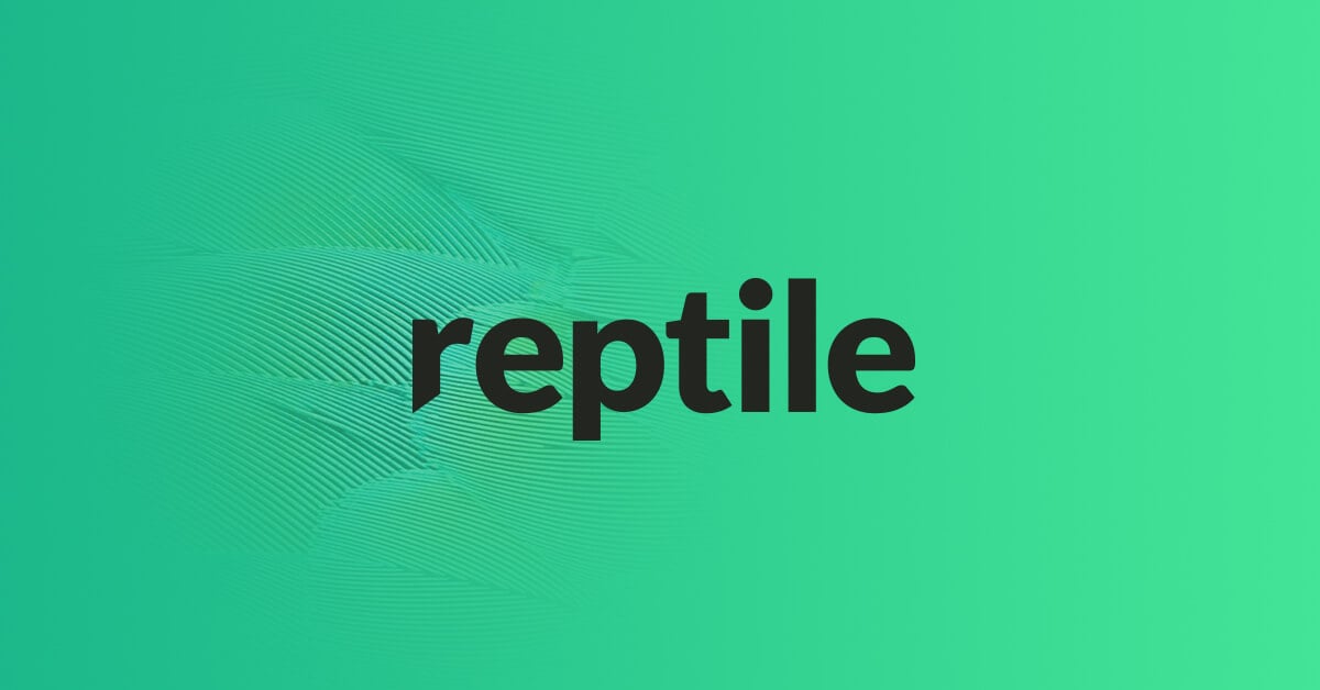 Reptile Digital Strategy & Web Development